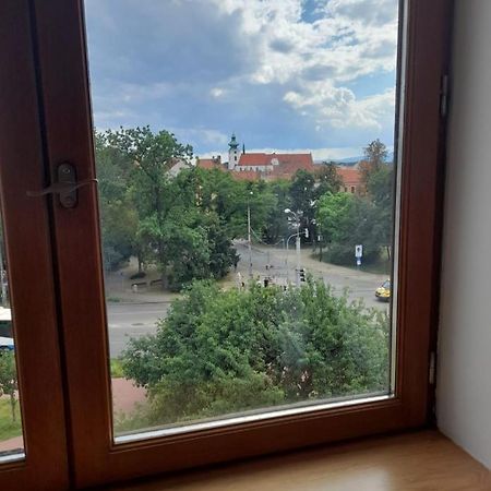 Riegrova Apartman Ceske Budejovice Kültér fotó
