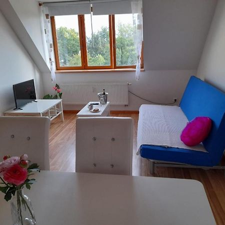Riegrova Apartman Ceske Budejovice Kültér fotó