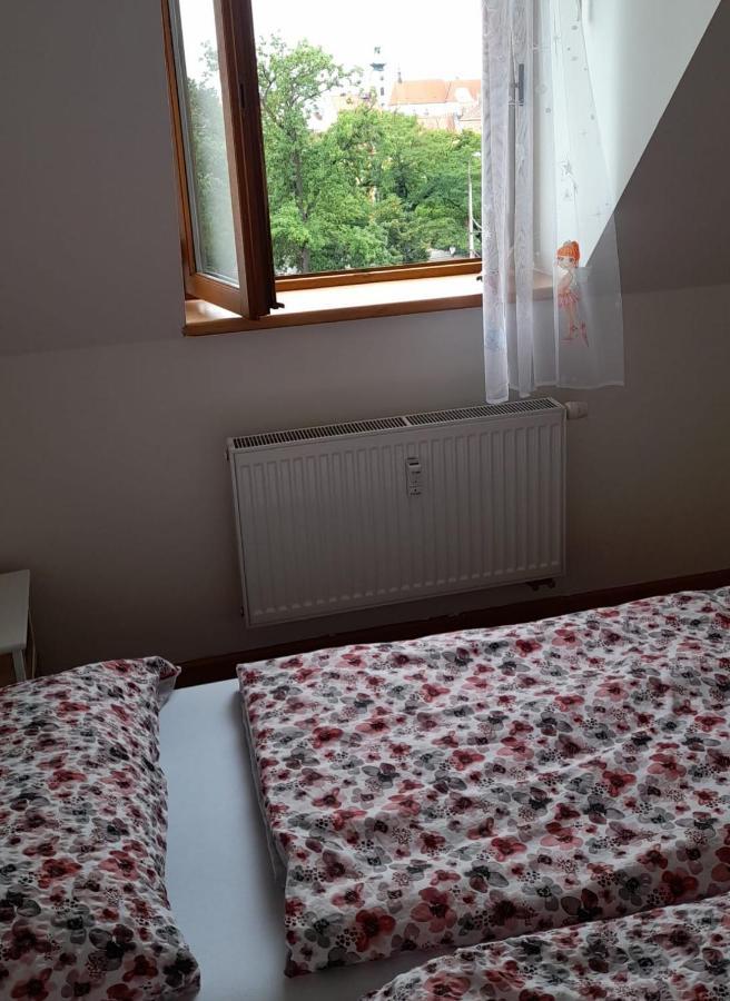 Riegrova Apartman Ceske Budejovice Kültér fotó