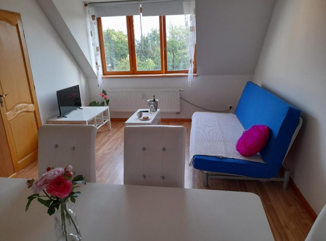 Riegrova Apartman Ceske Budejovice Kültér fotó
